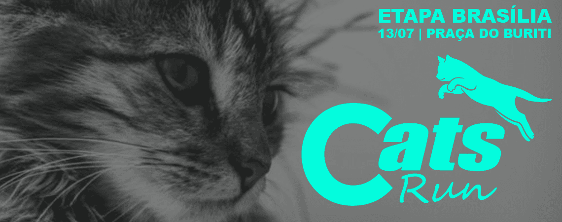 Imagem de divulgação do Cats Run Df 2025