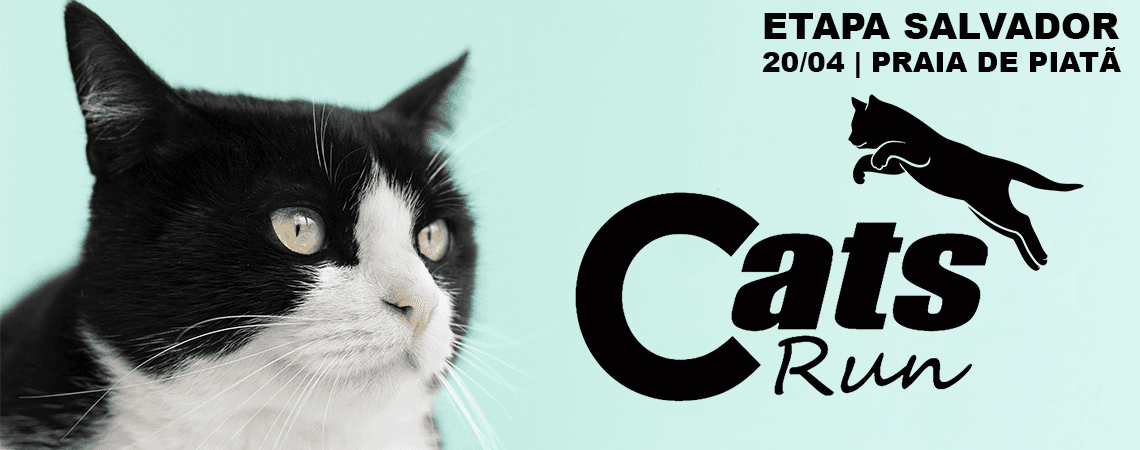 Imagem de divulgação do Cats Run Ba 2025