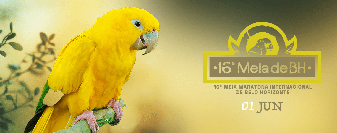 Imagem de divulgação do 16ª Meia Maratona Internacional De Bh