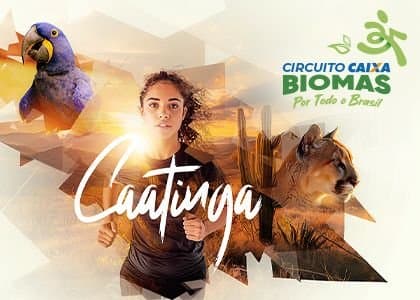 Imagem de divulgação do Circuito Caixa Biomas - Caatinga